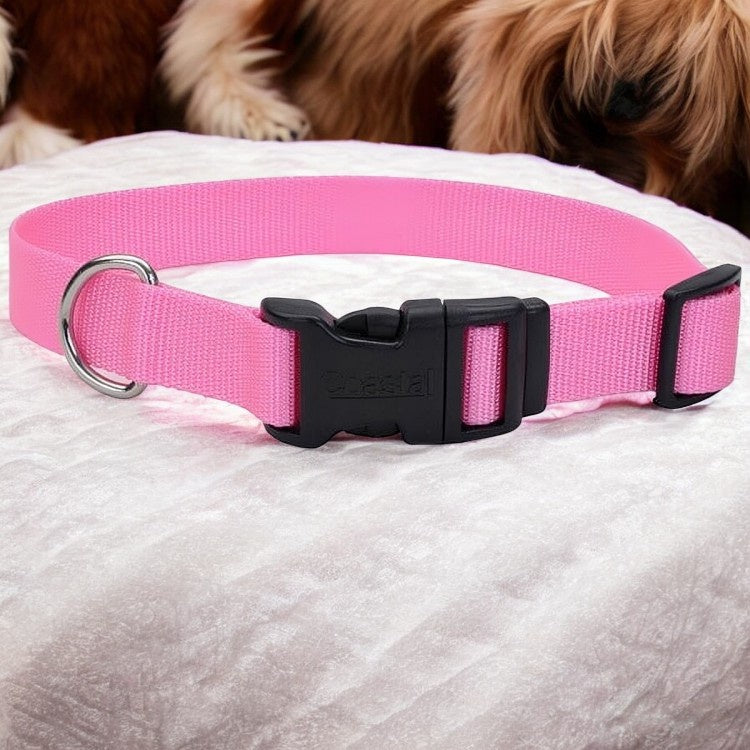 Westminster Pet Expert Nylon Quad Lock Dog Collar, Pink