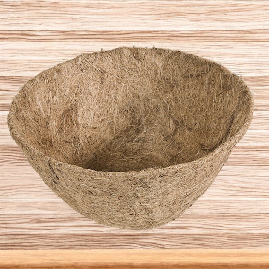 Panacea Coconut Pot