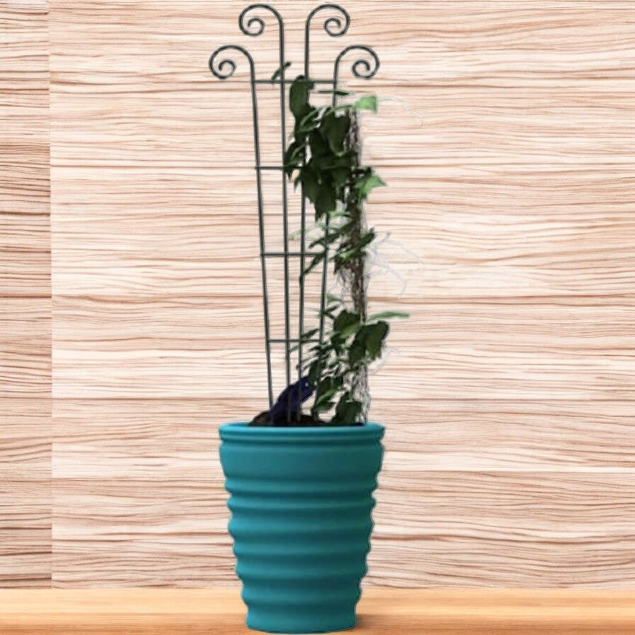 48x16 GRN Wave Trellis