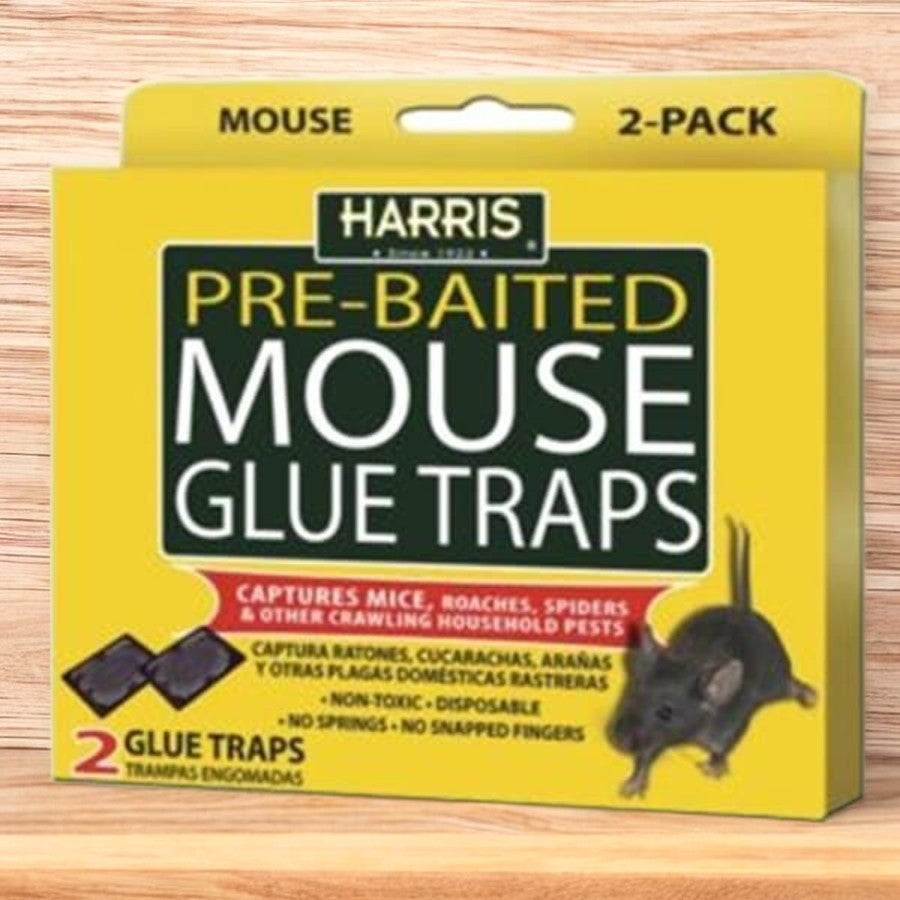 مصيدة الفئران اللاصقة من هاريس 2 قطع