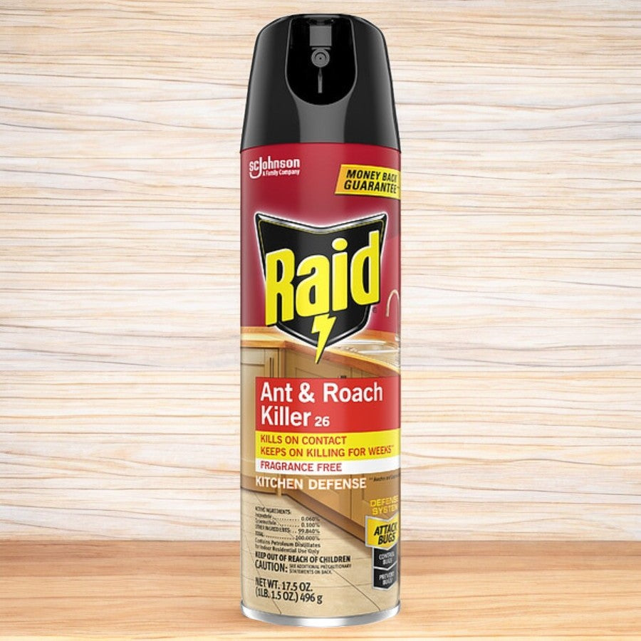 Raid Ant & Roach Killer 17.5 oz