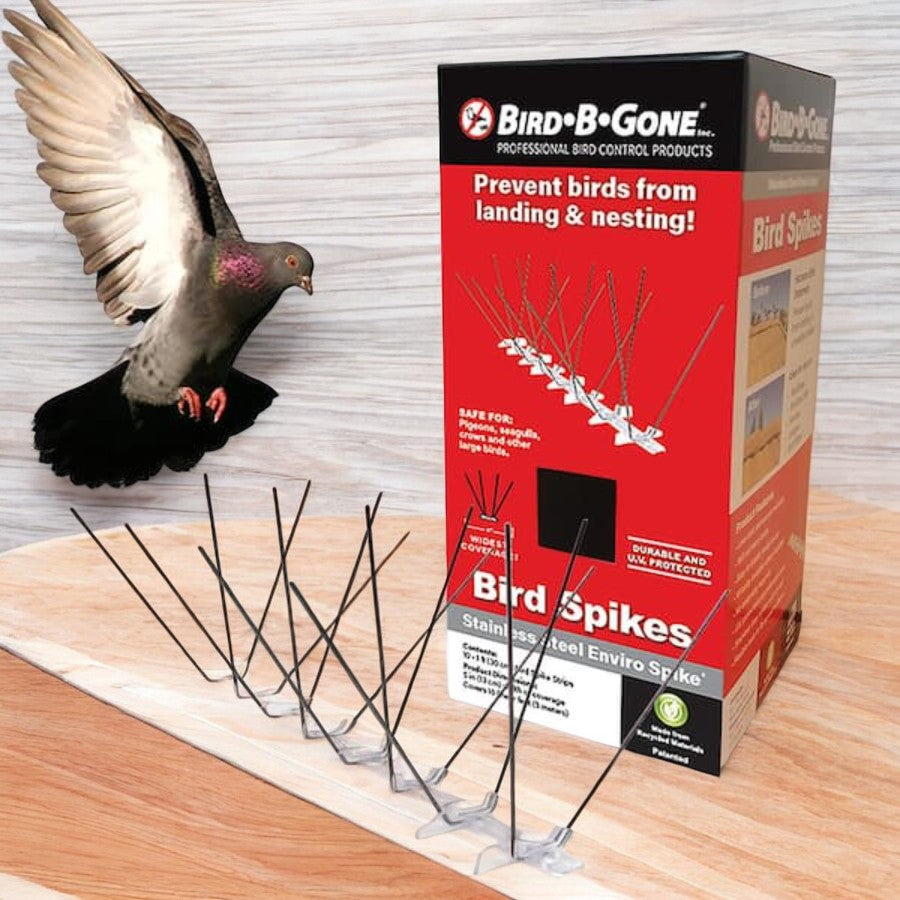 حامل سبايك الطيورلطرد الطيور فولاذ مقاوم للصدأ من بيرد بي جن