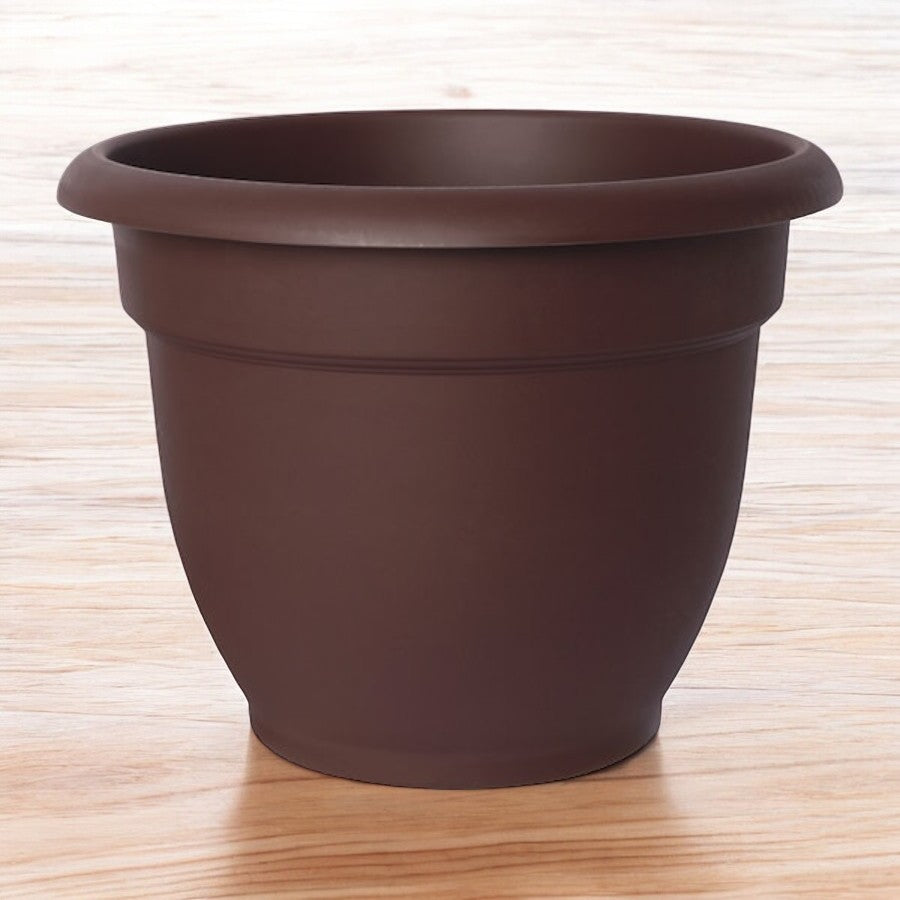 ARIANA CHOCOLATE PLANTER 6 INCH