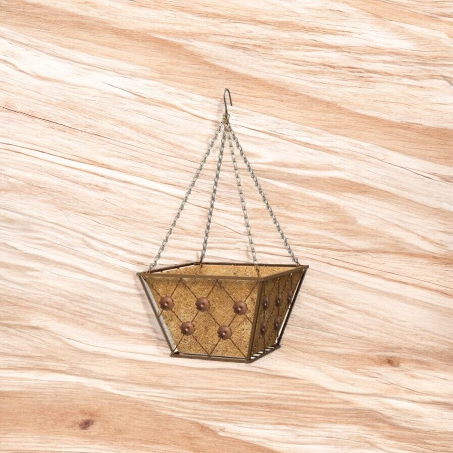 سلة نباتات معلقة بأسلوب ريجنسي مربع من جرين ثامب 14 بوصة