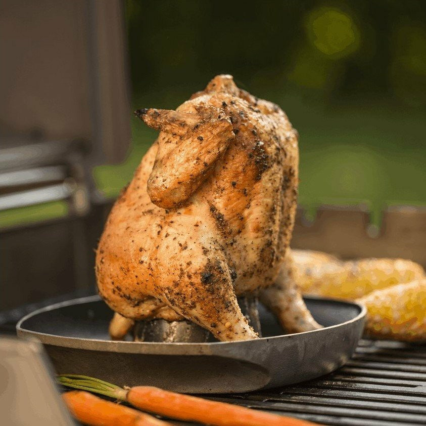 POULTRY ROASTER WEBER