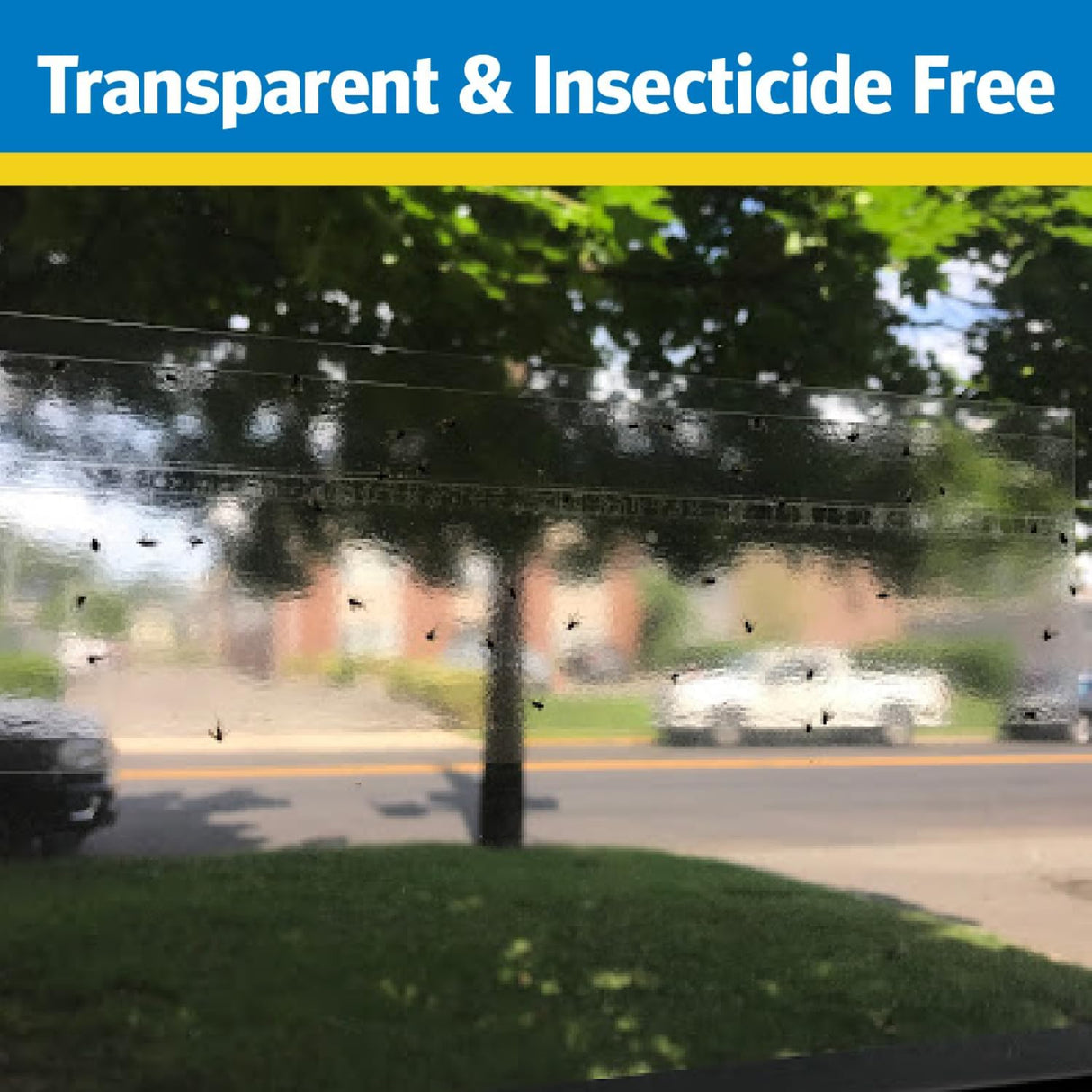 مصيدة ذباب قابلة للاستخدام لمرة واحدة رايد - 8 قطع-2