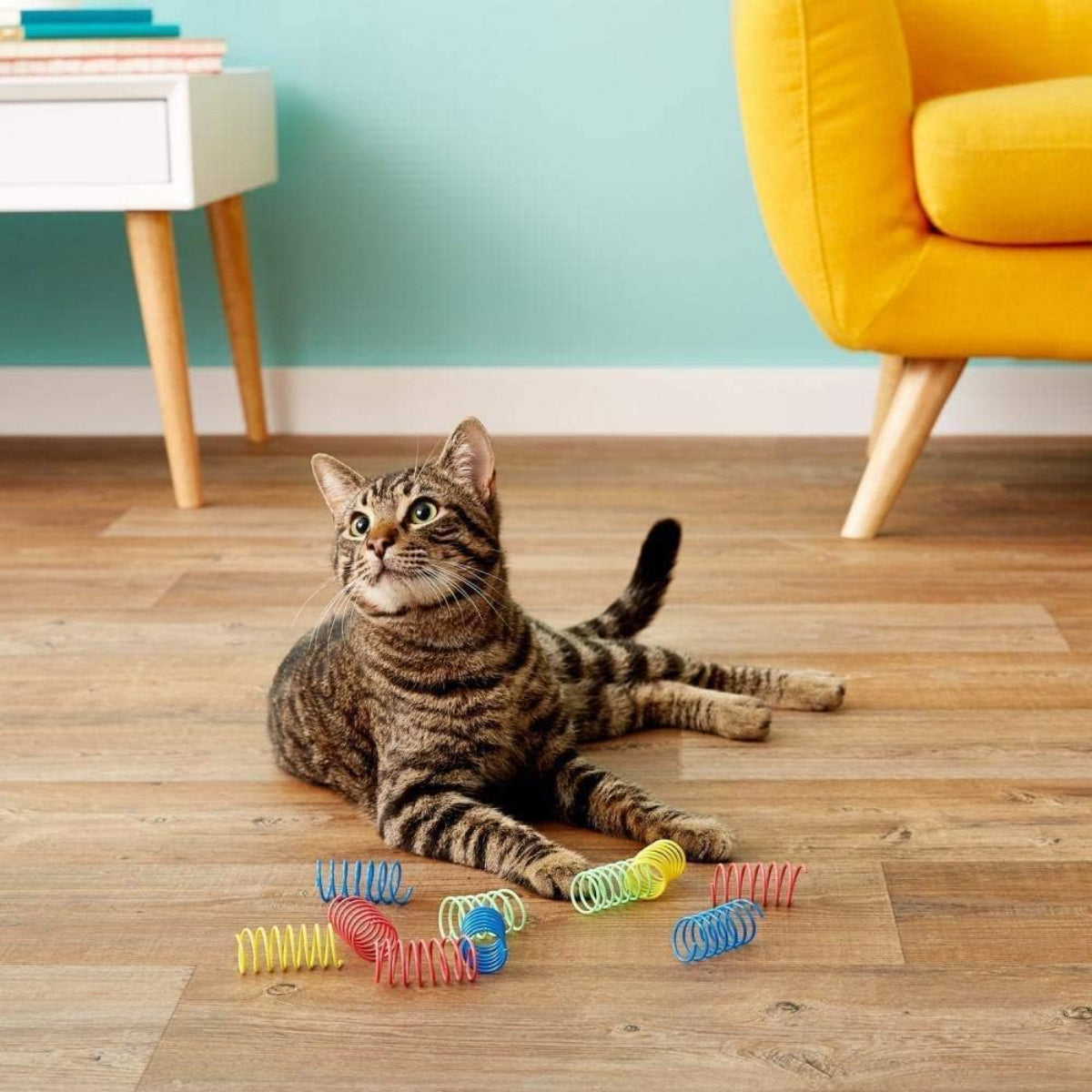 Spot 10pcs Wide Colorful Cat Springs Multicolor
