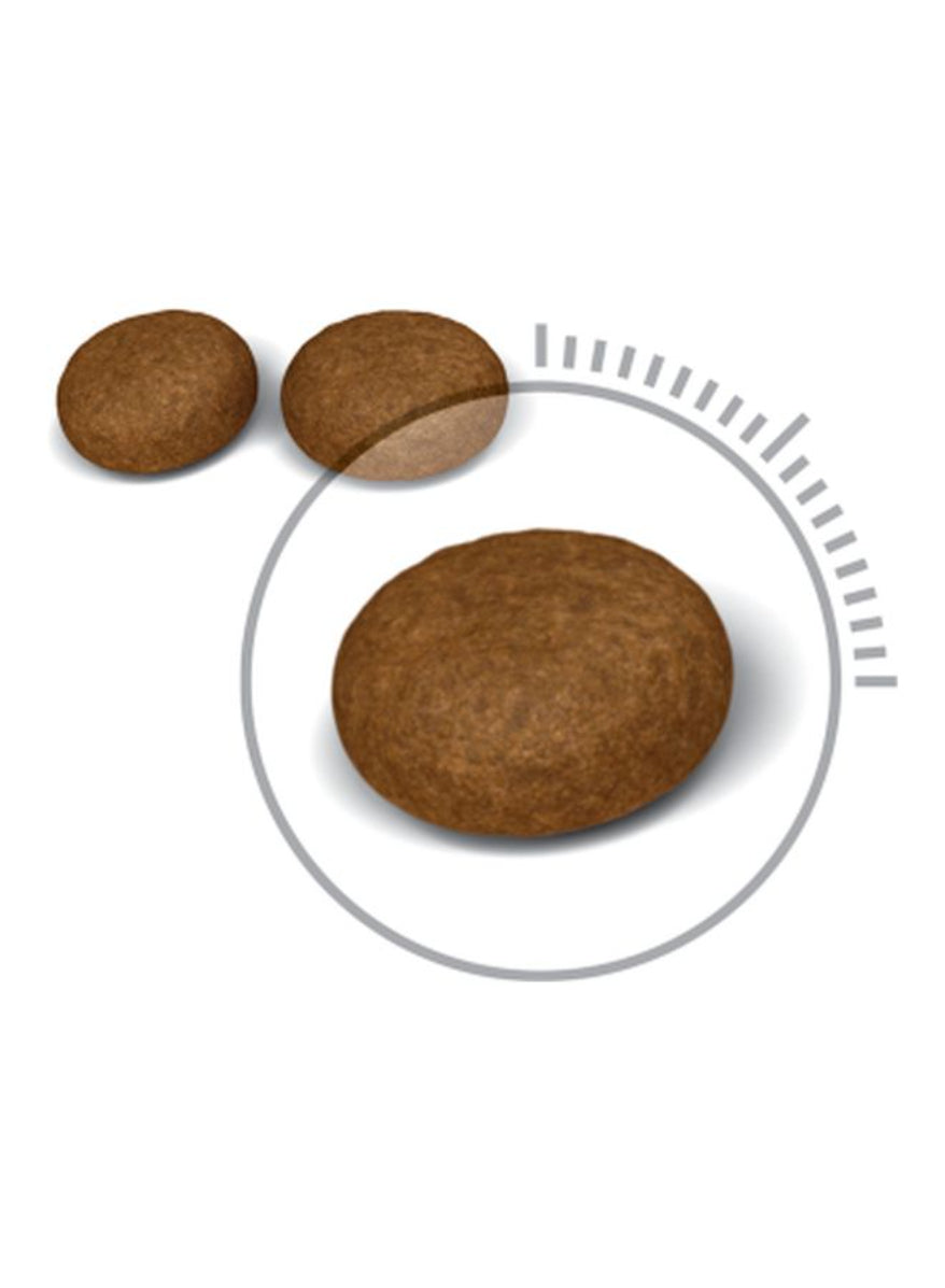 طعام القطط الجاف رويال كانين للعناية بالشعر والبشرة - 2 كجم-2