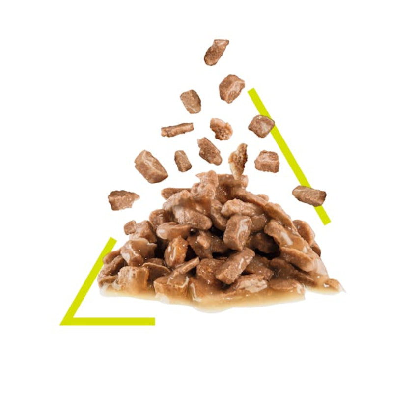 طعام القطط الرطب رويال كانين سينسوري سمايل - 85 جرام-2