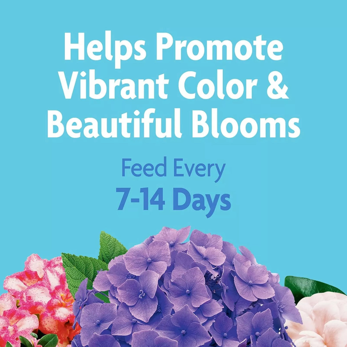 Scotts Miracle Puppy Miracle Food 4 lbs