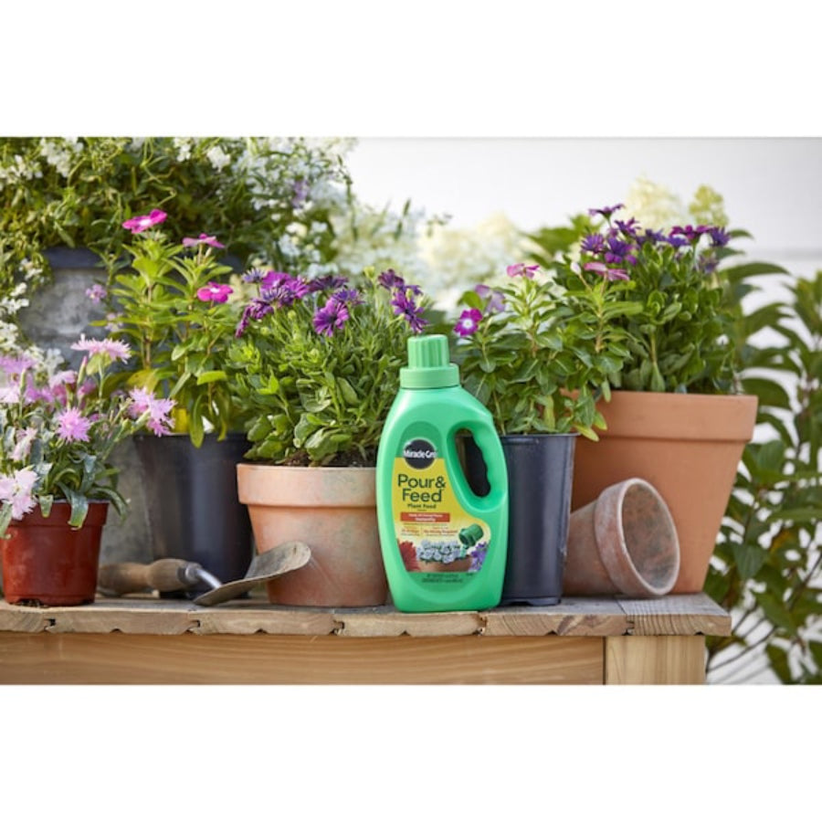 MG QT Pour/Feed Food