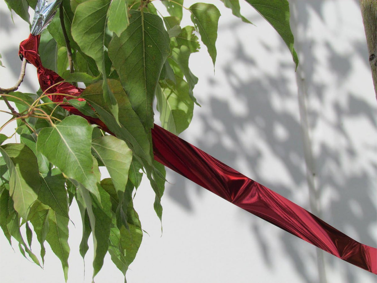 شريط فلاش من بيرد بي جن 1 بوصة X 50 قدم