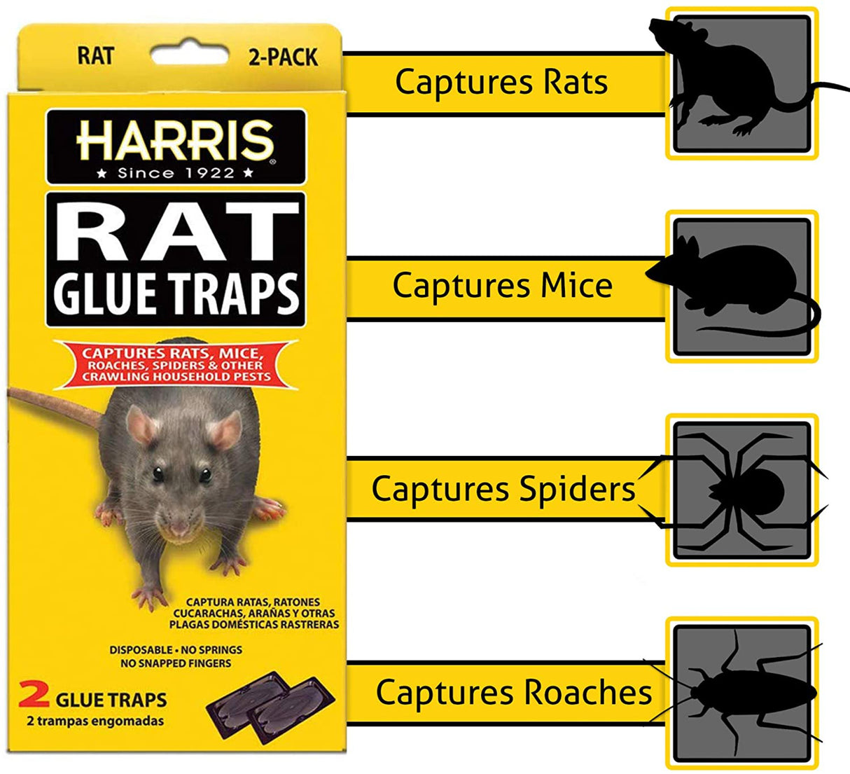 مصيدة الغراء للفئران من هاريس 11 x 5 x 1 بوصة 2 قطع