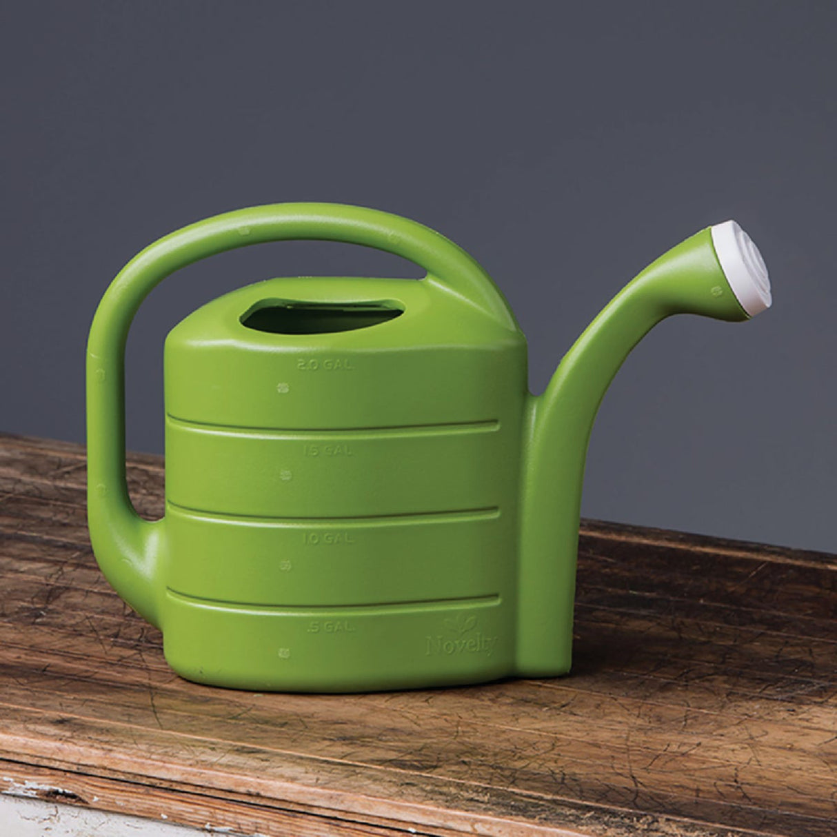 Novelty 2 Gallon Poly Plastic Premium Watering Can