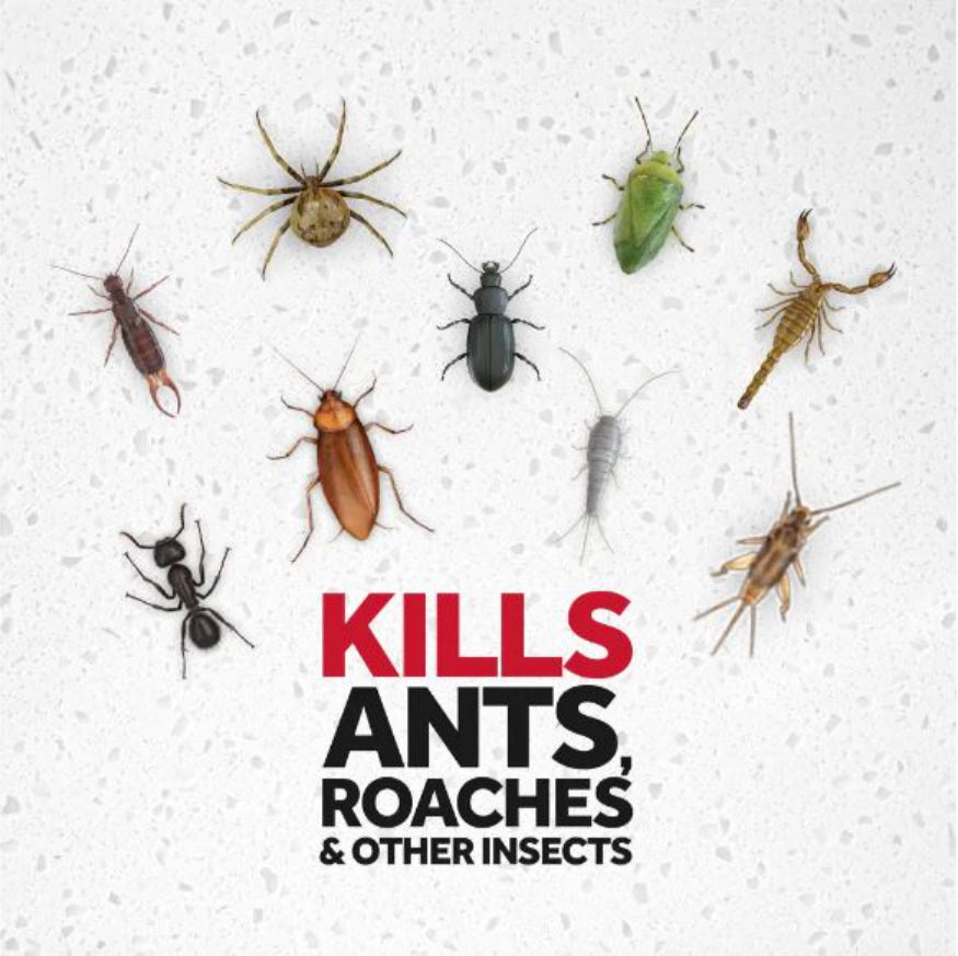 قاتل الصراصير من ريد 17.5 أوقية