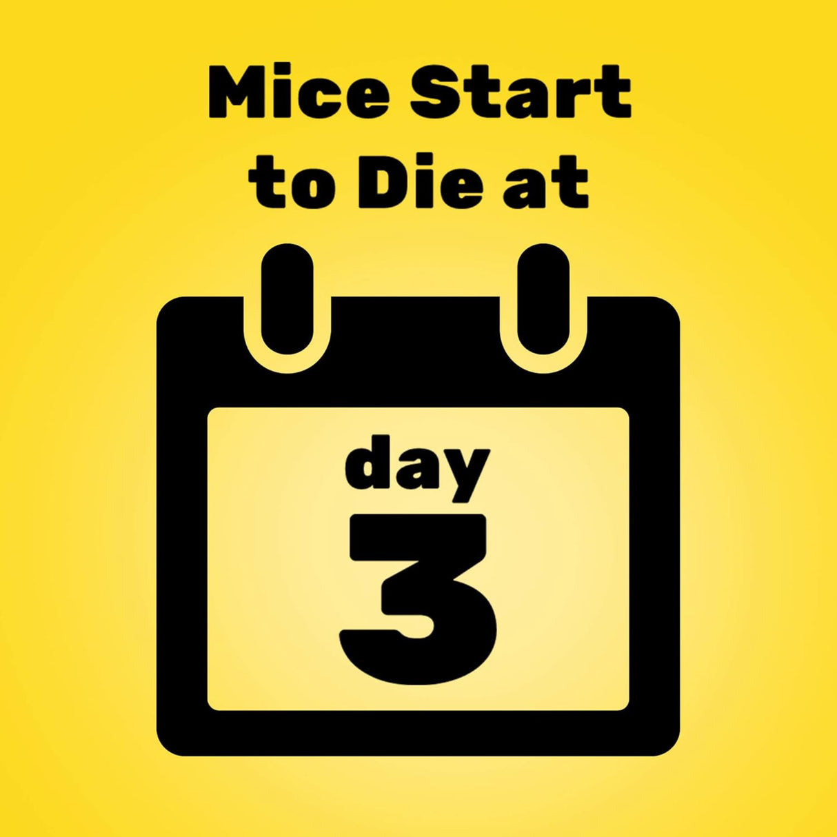 D-Con Corner Refillable Mouse Bait Station 12 Pack