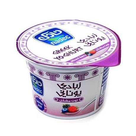زبادي نادك اليوناني بنكهة التوت - 160 جرام-2