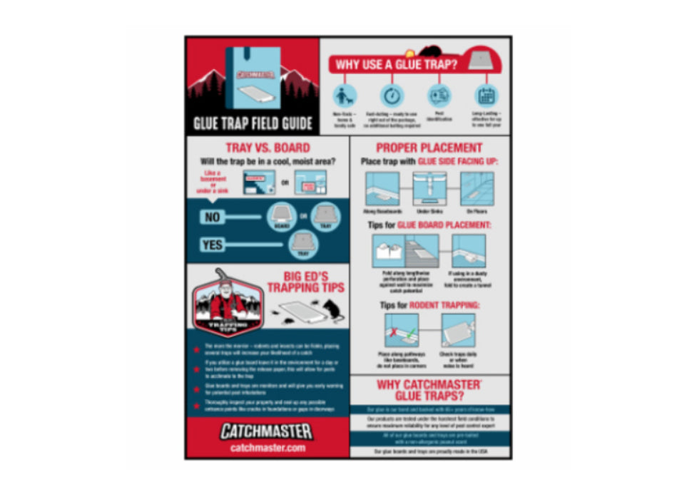 مصائد فئران كاتش ماستر 4 قطع - أسود-2