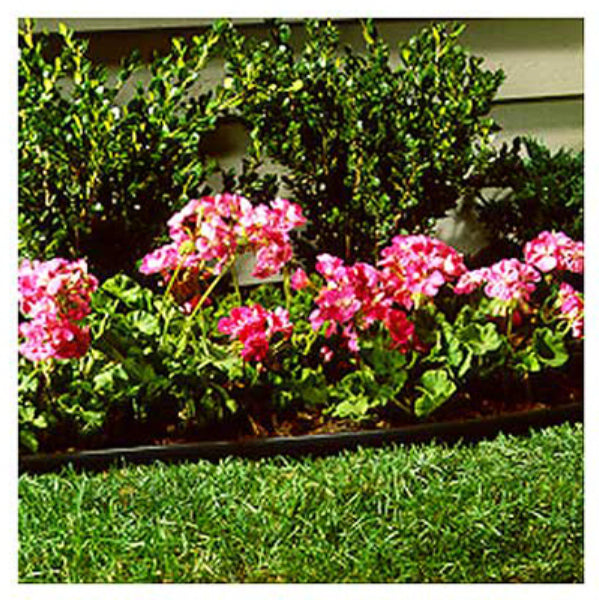 حواف العشب من صن كاست 60 قدم