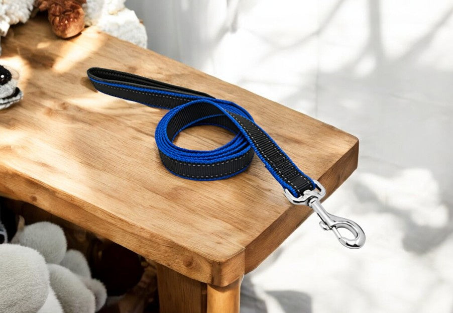 طوق ومقود بيت اكسبرت للكلاب من وستمنستر، 3/4 بوصة x طول 6 قدم - اسود وازرق