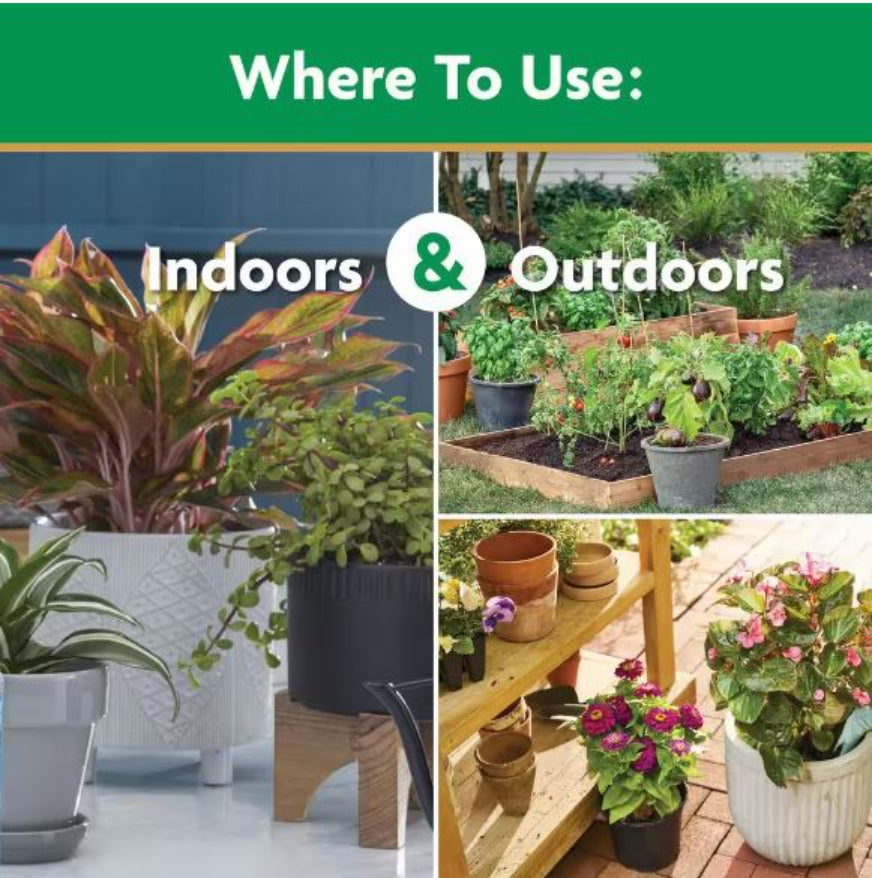 MG 10LB AP Plant Food