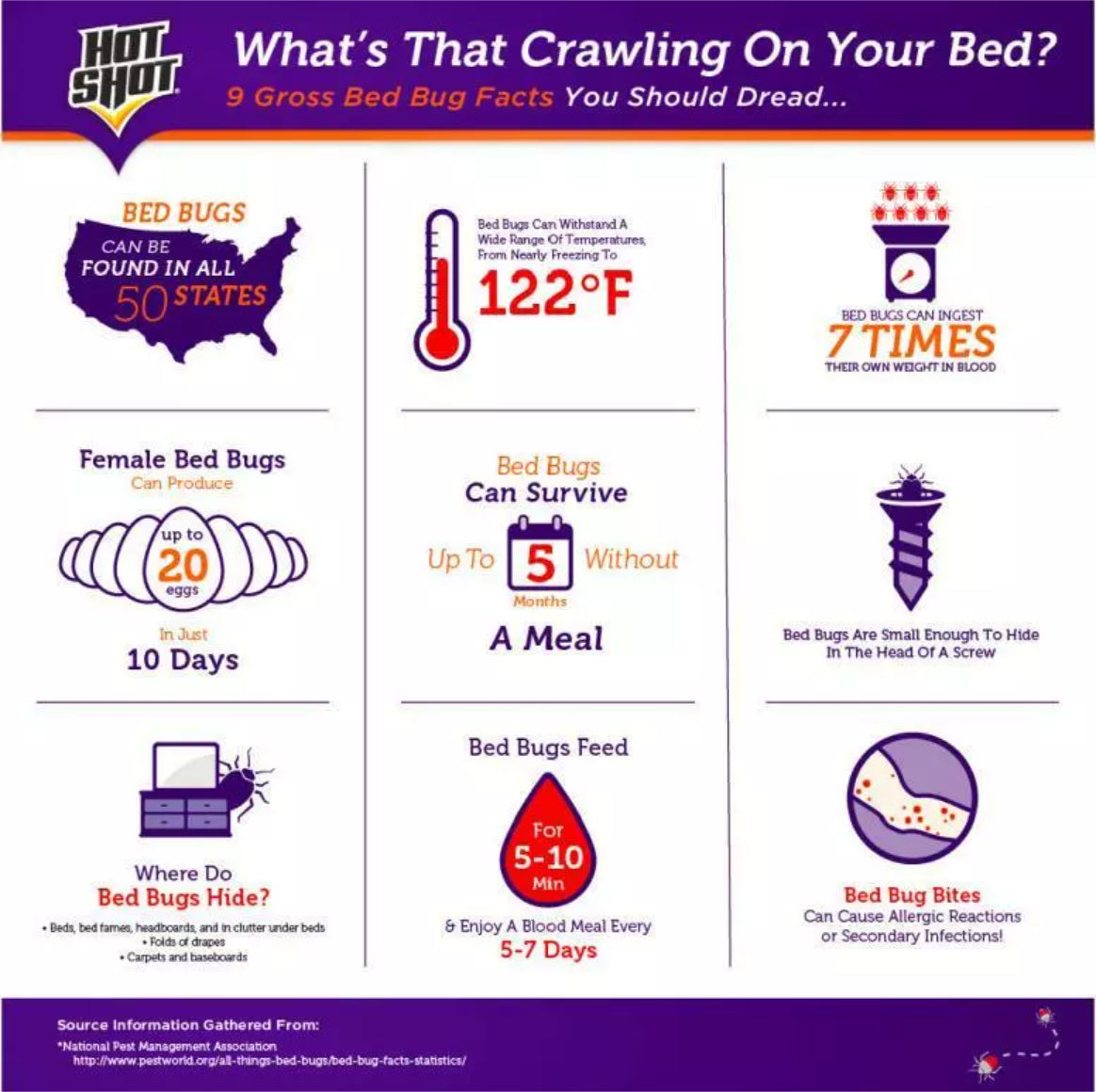 Hot Shot Ready-to-Spray Bed Bug Killer 2 oz 3 Count