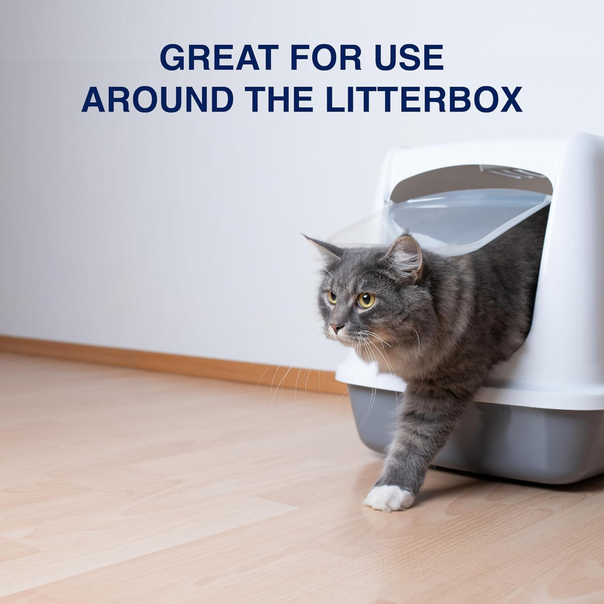 منظف الأرضيات متعدد الأسطح للقطط بونا - 32 أونصة-4