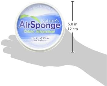 Naturals Air Odor Absorbing Sponge, 16 oz