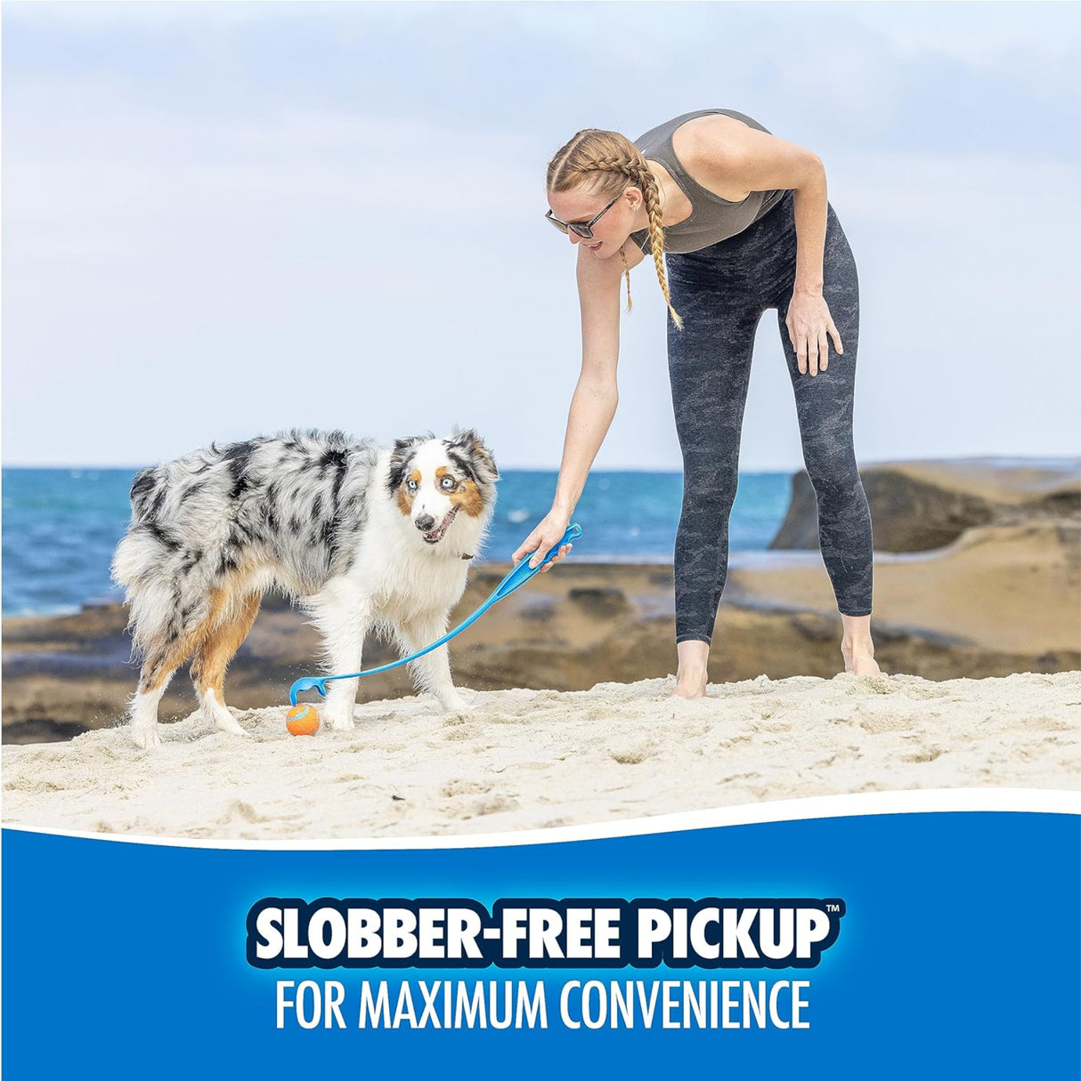 لعبة قذف الكرة للكلاب من بيتميت ألوان متنوعة