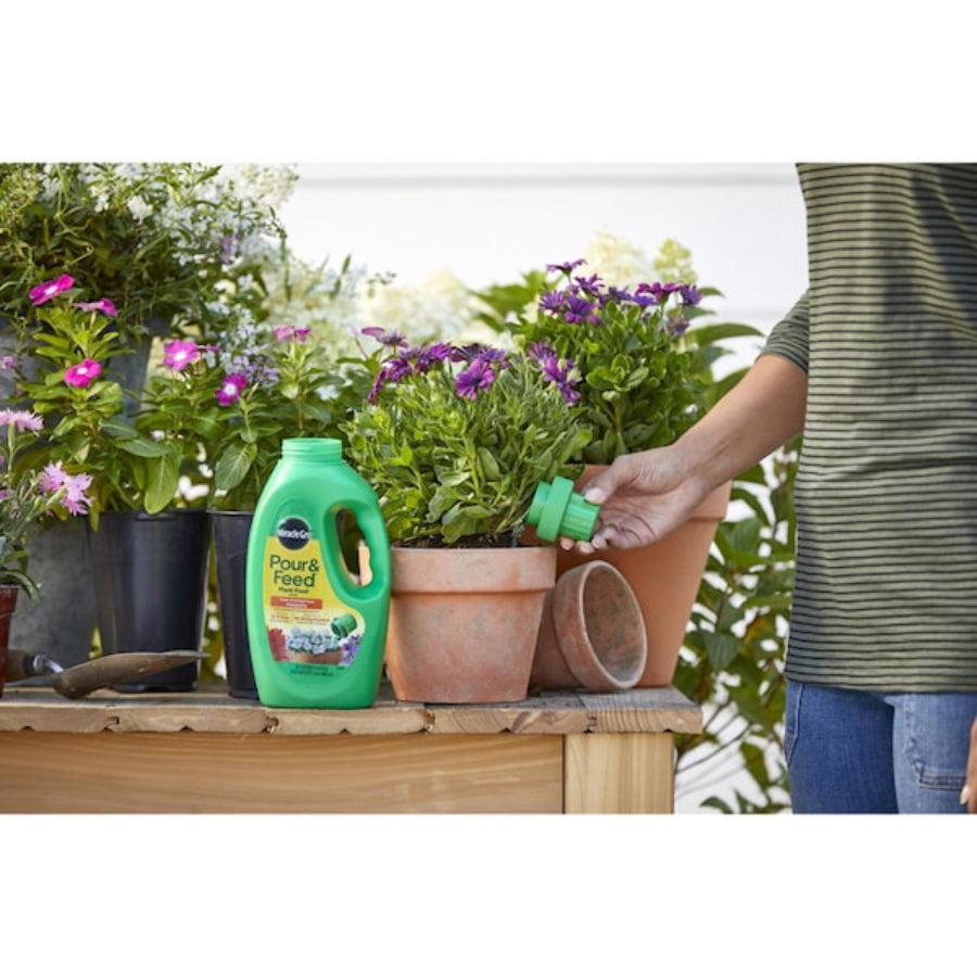 MG QT Pour/Feed Food