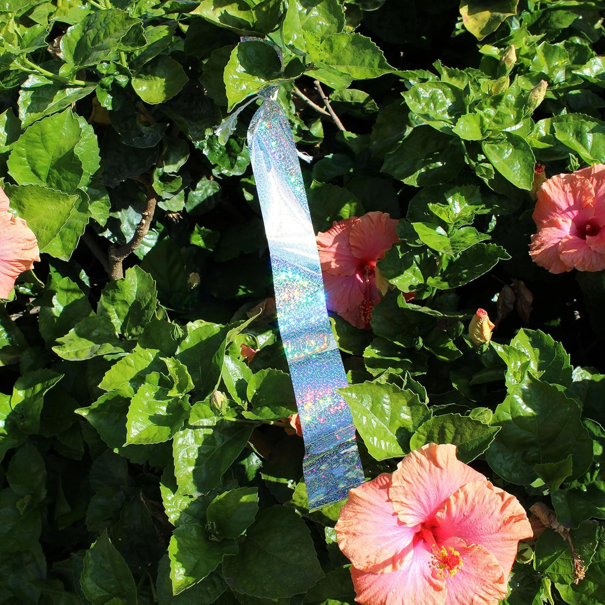 شريط طارد الطيور اللامع من بيرد بي جن 2 بوصة X 150 قدم