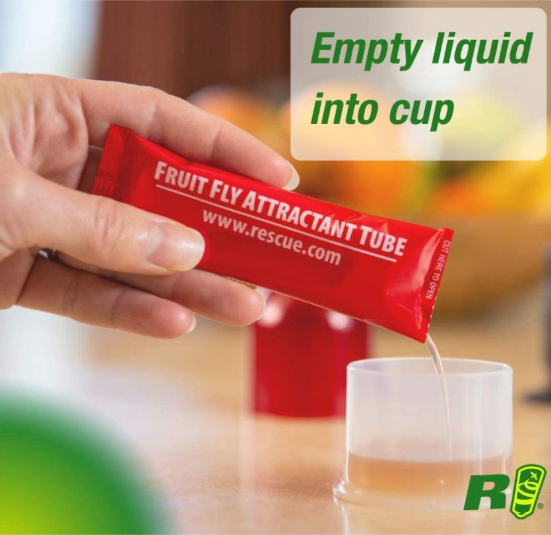 مصائد ذباب الفاكهة من ريسكيو 2 قطع
