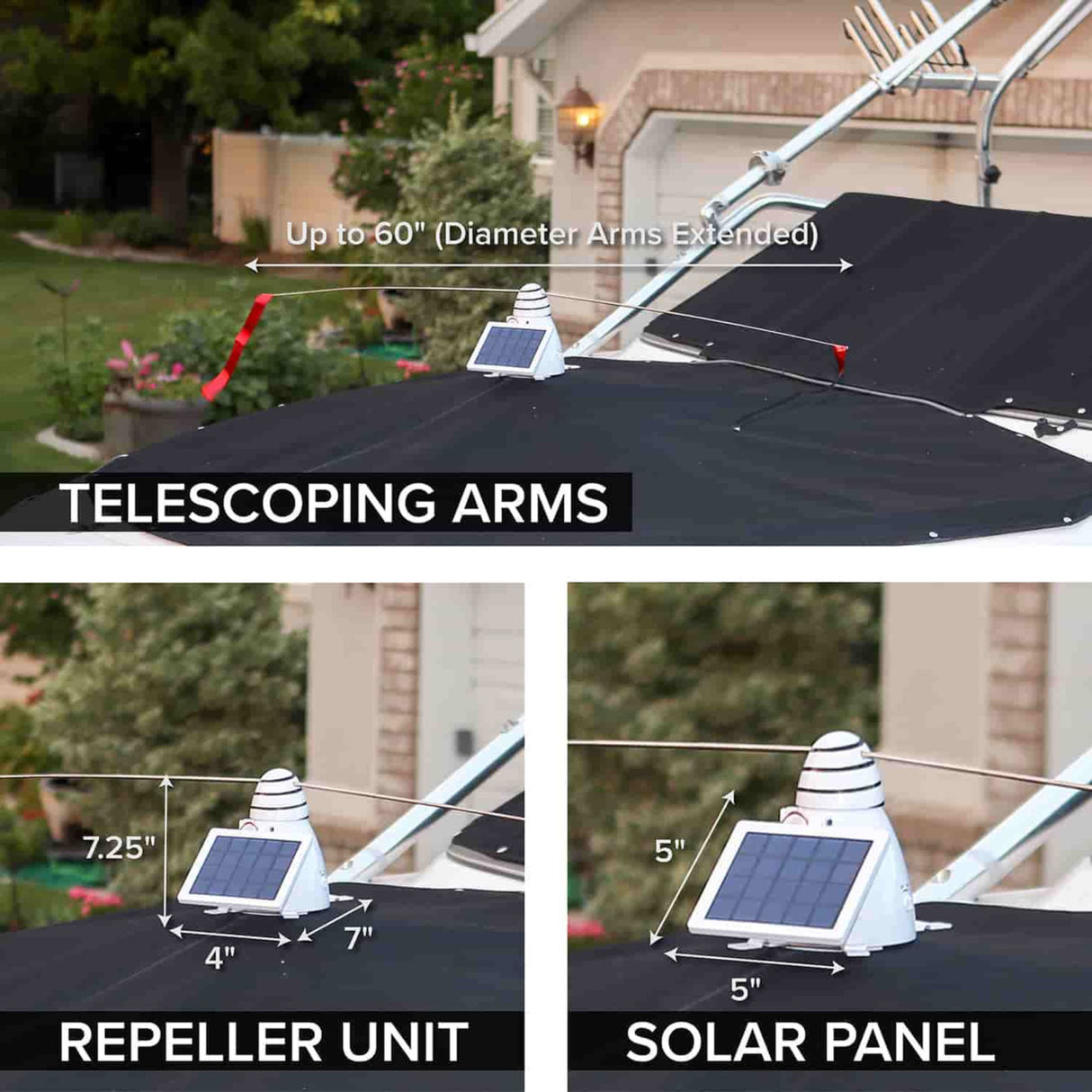 طارد الطيور باللطاقة الشمسية من بيرد بي جن