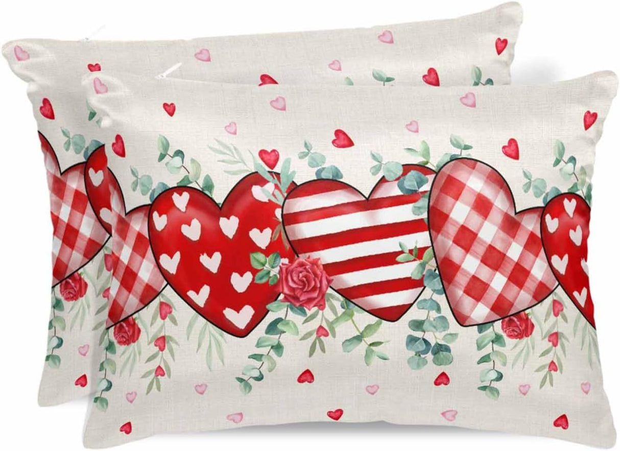 غطاء وسادة فالنتيني كوين، قطعتان - متعدد الألوان