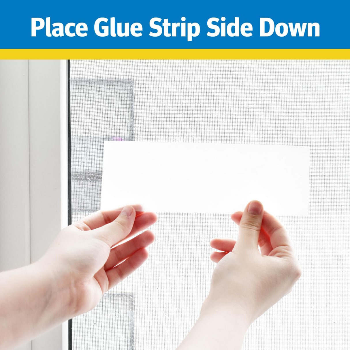 مصيدة ذباب قابلة للاستخدام لمرة واحدة رايد - 8 قطع-5