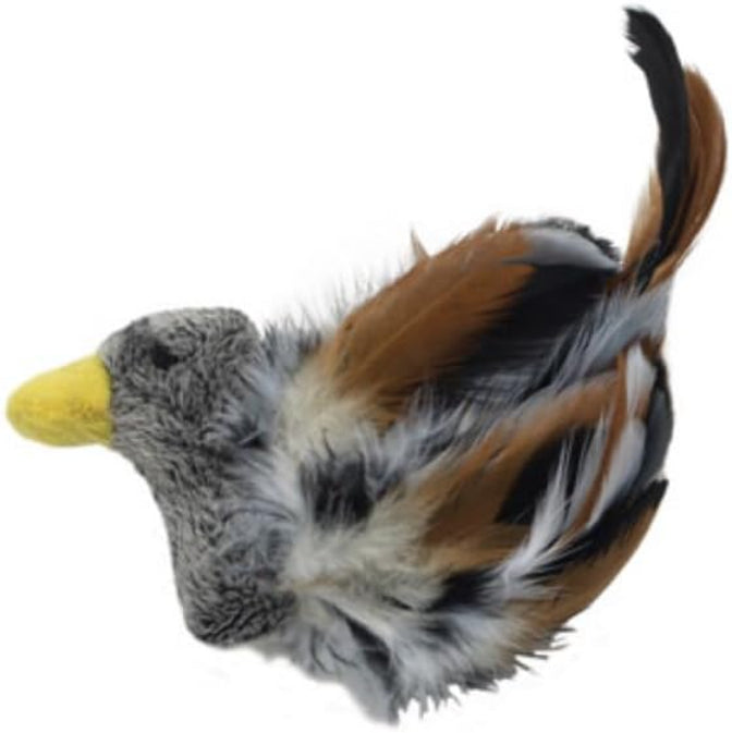 لعبة قطط بريش الطيور من سبوت ألوان متنوعة