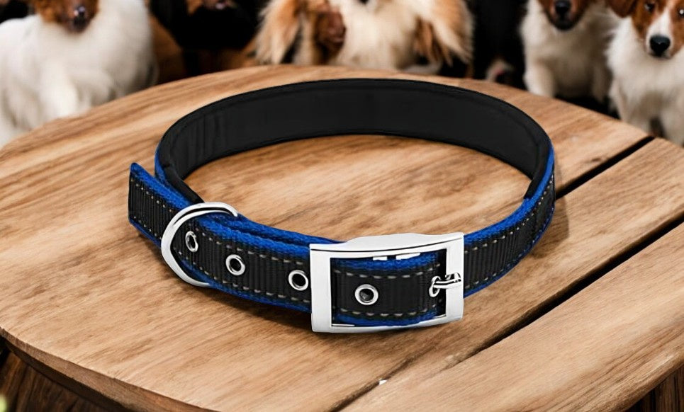 Westminster Pet Expert Dog Collar, Black and Blue