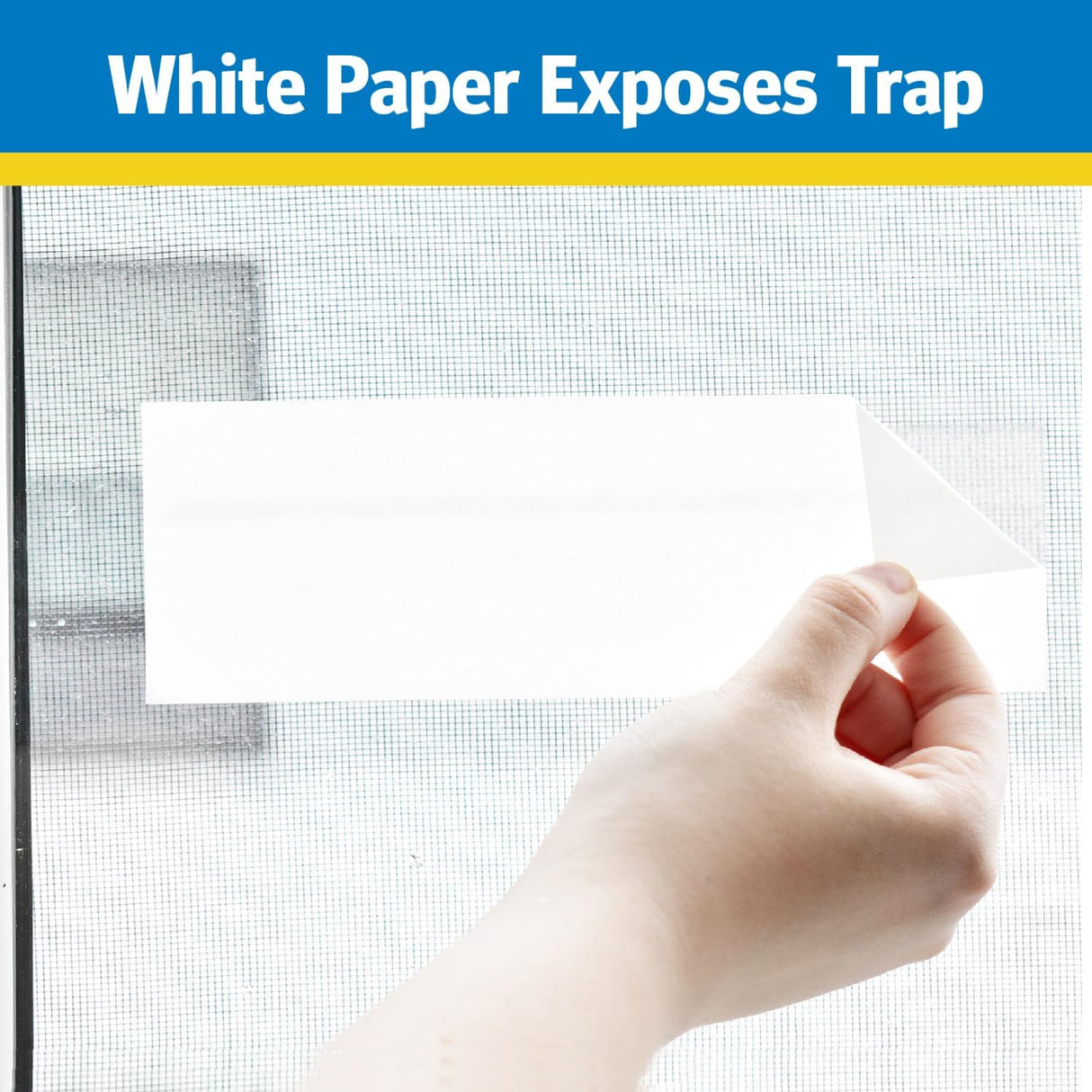 مصيدة ذباب قابلة للاستخدام لمرة واحدة رايد - 8 قطع-6