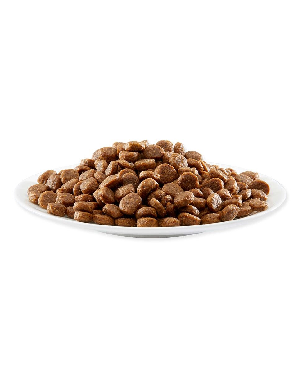 طعام للقطط أبلاوز بطعم الدجاج والسالمون - 2 كيلو جرام-2