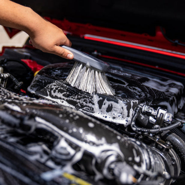 فرشاة عجلات وجسم متوسطة كيميكال جايز - أسود-6