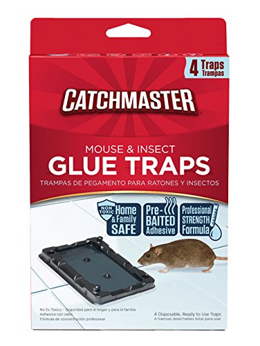 Catch Master Glue Traps for Mice and Insects - 4 Count