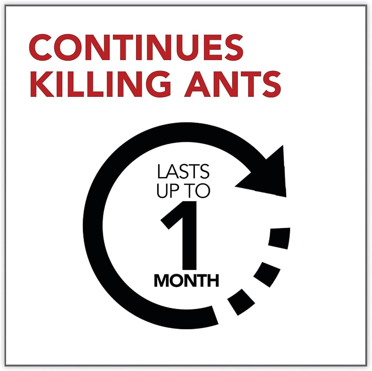 رايد جل أوز النمل