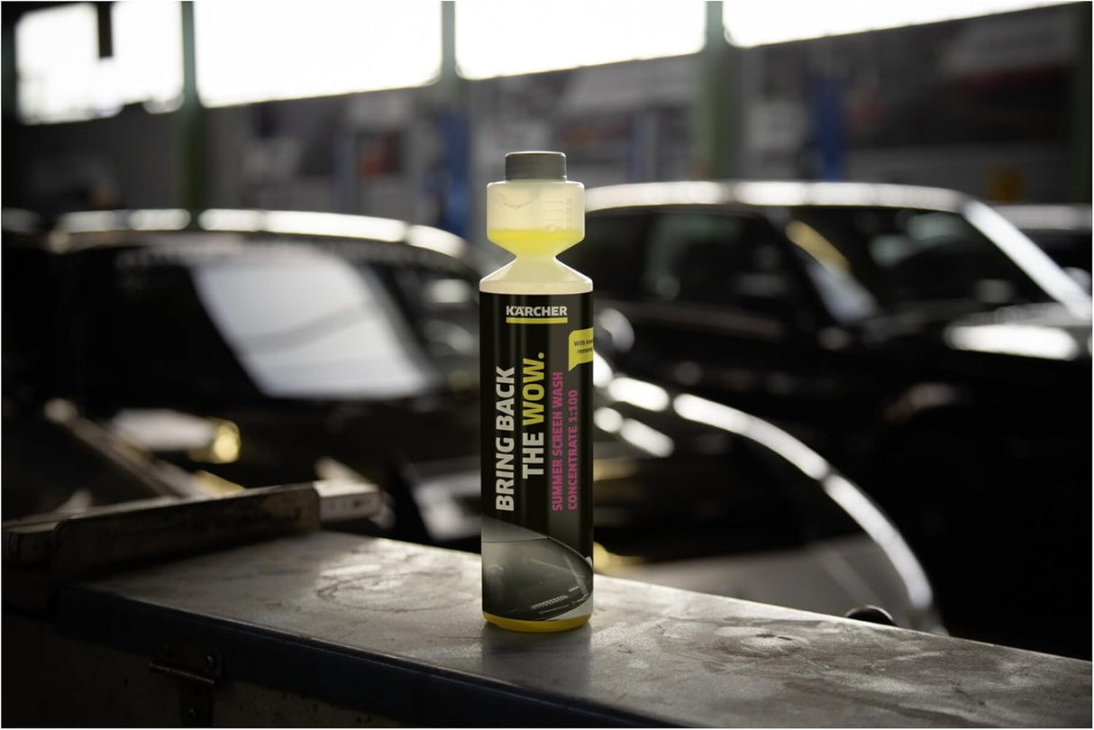 Karcher Summer Car Glass Cleaner, 250 ml - Model RM 672