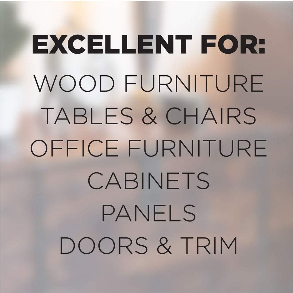 Cabinet & Wood Clean & Shine 17 oz. Aerosol