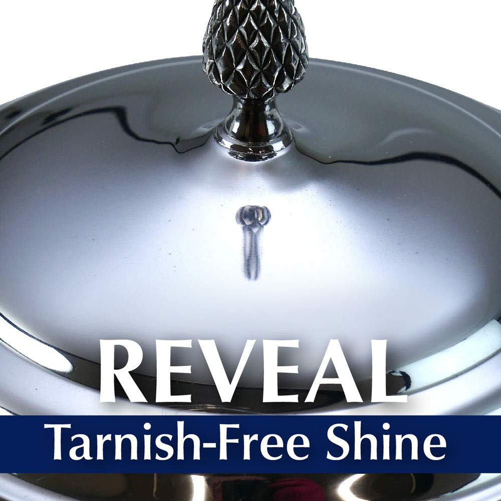 زجاجة ملمع الفضة المضاد للصدأ من رايتس، 7 أونصة