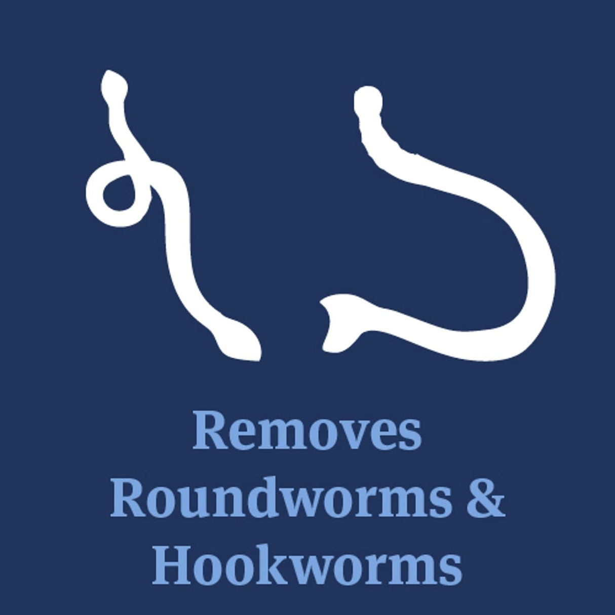 سائل ازالة الديدان بيتارم شور شوت 2X للكلاب من بيت ارمور - 60 مل