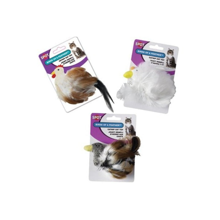 لعبة قطط بريش الطيور من سبوت ألوان متنوعة