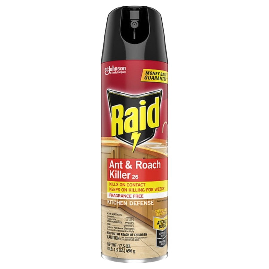 Raid Ant & Roach Killer 17.5 oz