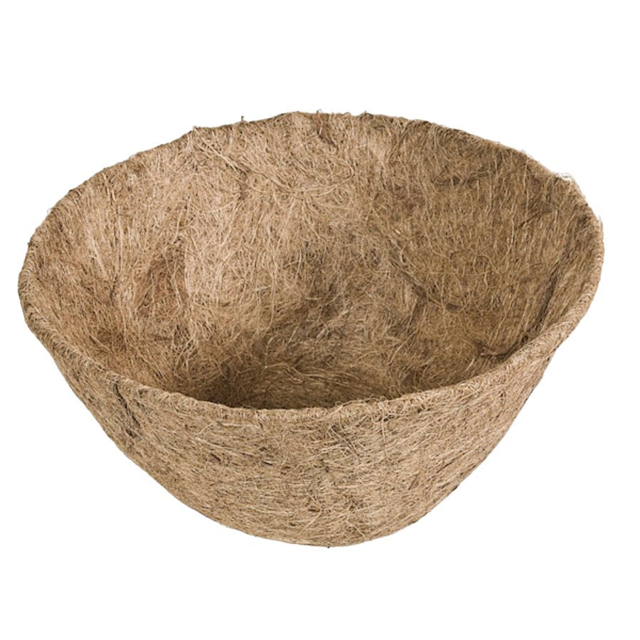 Panacea Coconut Pot