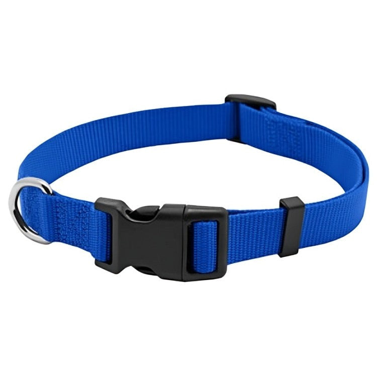 Westminster Pet Expert Nylon Quad Lock Dog Collar, Blue